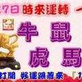 11月27日時來運轉一路發，牛鼠羊虎馬兔，88秒內打開，好運跟著來『16888』