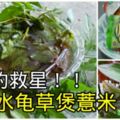 腎臟的救星！只需「水龜草」和「薏米」一起煲來喝，效果超好！