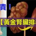 祖傳【黃金腎臟排毒法】只要照著做，腎臟立即排毒消水腫哦！