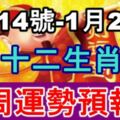 【1月14號-1月20號】十二生肖一周運勢預報！