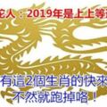 屬龍屬蛇人：2019年是上上等運勢哦！家裡有這2個生肖的快來接吧，不然就跑掉咯！