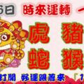 2月6日時來運轉一路發，虎豬兔蛇猴狗，88秒內打開，好運跟著來『16888』