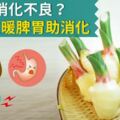 脹氣、消化不良？5種好食暖脾胃助消化