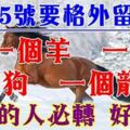 2月15號開始要格外留心了：一個羊，一個馬，一個狗，一個龍。今天起必轉運