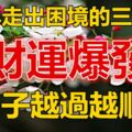 豬年走出困境，財運爆發，日子越過越順暢的三生肖