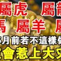 屬馬、羊、猴、虎、龍的人！5月前若不這樣做！必定會惹上大災難，趕緊告訴身邊的人