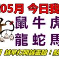 22號05月，今日我最旺！鼠牛虎兔龍蛇馬羊！【50288】越早打開越靈驗！點個讚吧！