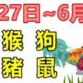 十二生肖一周運勢（5.27~6.2）