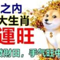 15天之內，財運旺的五大生肖