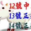 九大生肖鴻運當頭：12號中頭獎，13號正財旺，14號正財旺