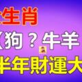 下半年財運大漲的5大生肖！【狗？牛羊？】