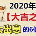 大吉之運！2020年福氣滿滿，能有大出息的6個生肖