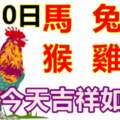 5月10日生肖運勢_馬、兔、豬大吉