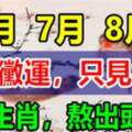 6月份到8月份不見黴運，只見橫財的生肖