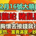 12月16號大順日，橫財進家門，六大屬相富貴滿筐，鈔票遍地，敞開胸懷去接錢就行了！