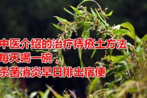 中醫介紹的治療痔瘡土方法，每天喝一碗，殺菌消炎早日排出宿便