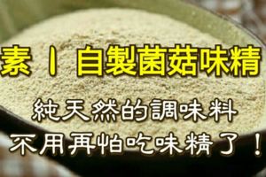 自製菌菇味精，純天然的調味料，不用再怕吃味精了