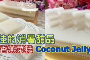 炎日的天氣，最佳的消暑甜品 ~ 椰香燕菜糕 CoconutJelly~