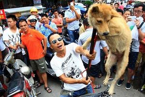 網友力挺合法吃狗肉！眾人看到都氣得要死，卻被他「一句話反問」嗆得說不出話....！