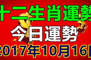 十二生肖運勢天天看，今日運勢：2017年10月16日