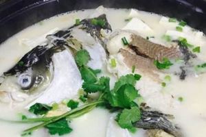 魚湯怎麼熬制才好喝？學會這一招，做出來湯濃白無腥味，看饞了