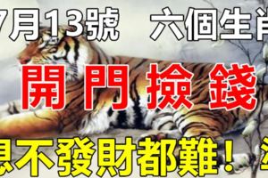 7月13號後，這六個生肖開門撿錢，想不發財都難！