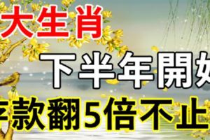 7大生肖：下半年年開始，存款翻5倍不止！