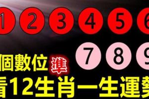 9個位數，看12生肖一生運勢旺衰！比算命還要准！