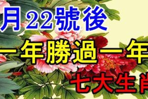 7月22號後，大運將至，財運頗豐，一年勝過一年的七大生肖！