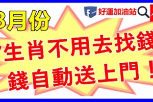 8月份，7大生肖不用去找錢，錢自動送上門