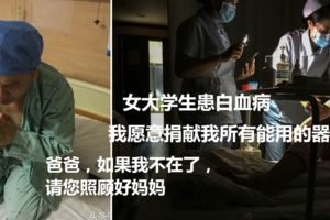 女大學生患白血病，我願意捐獻我所有能用的器官......」