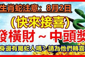 生肖蛇注意：8月2日快來接喜，發橫財～中頭獎！