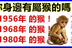 你身邊有屬猴的嗎？1956年，1968年，1980年的生肖猴