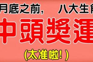 8月底之前,這八大生肖有中頭獎運！(太準啦)