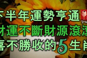 下半年運勢亨通，財運不斷，財源滾滾，喜不勝收的5大生肖！