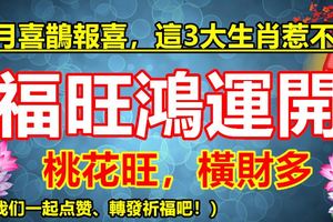 9月喜鵲報喜，這3大生肖惹不起，桃花旺，橫財多，福旺鴻運開