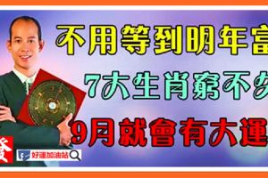 7大生肖窮不久，不用等到明年富，9月就會有大運！