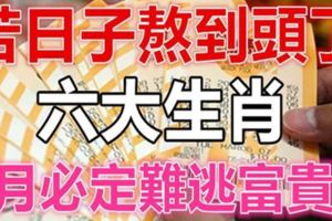 苦日子熬到頭了，這六大生肖9月必定難逃富貴！