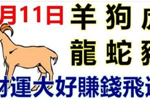 9月11日生肖運勢_羊、狗、虎大吉