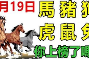 9月19日生肖運勢_馬、豬、狗大吉