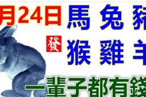 9月24日生肖運勢_馬、兔、豬大吉