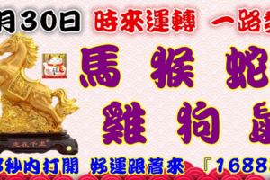 9月30日時來運轉一路發，馬猴蛇雞狗鼠，88秒內打開，好運跟著來『16888』