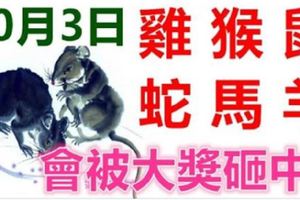 10月3日生肖運勢_雞、猴、鼠大吉