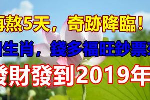 再熬5天，奇跡降臨！4生肖，錢多福旺鈔票來，發財發到2019年