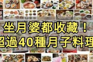 分享超過40種月子料理，讓你做足40天月子享用不同美食。坐月破快收藏咯！！！