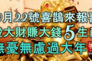 10月22號喜鵲來報喜，發大財賺大錢的5生肖，無憂無慮過大年！