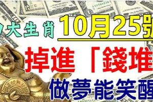 10月25號，掉進「錢堆」的生肖，財多事順，做夢能笑醒！