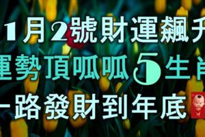 11月2號財運飆升，運勢頂呱呱的5生肖，一路發財到年底！