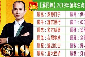 蘇民峰：2019年12生肖運程完整版