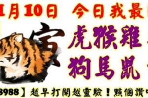 11月10日，今日我最旺！虎猴雞羊狗馬鼠牛！【98988】越早打開越靈驗！點個贊吧！